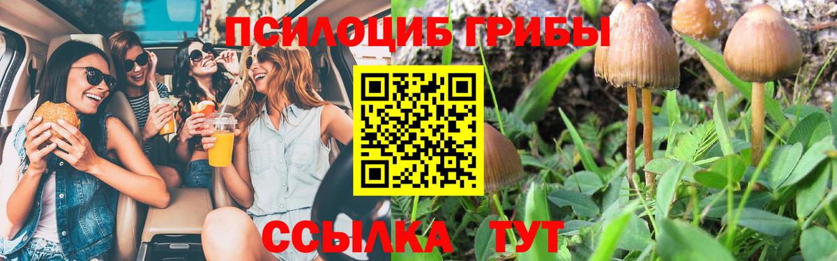 Нижний Новгород  Галлюциногенные грибы MAGIC MUSHROOMS  Вход с VPN 