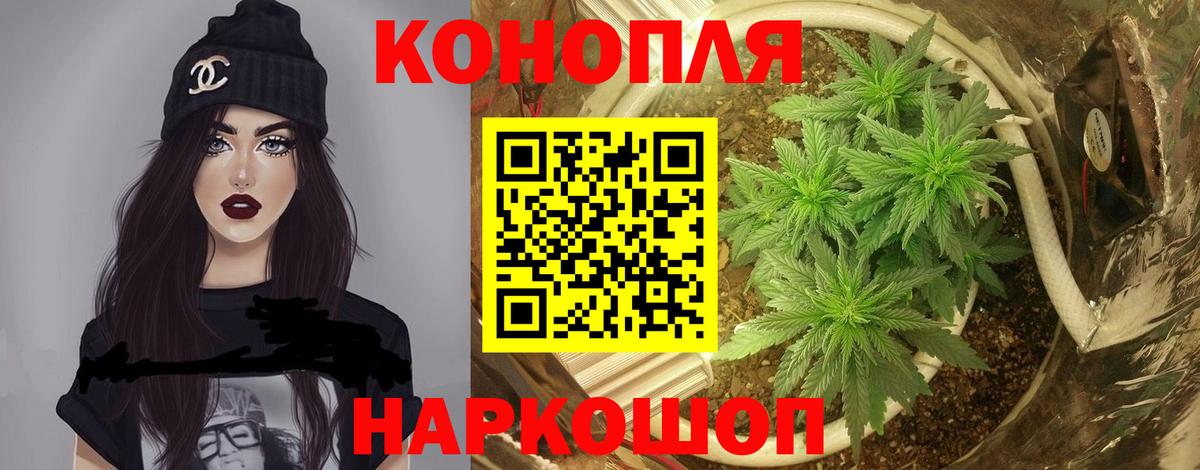 Нижний Новгород  Бошки Шишки тримм  Канабис MAZAR  Вход с VPN  Марихуана семена  Бошки Шишки планчик 